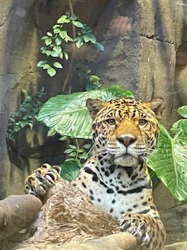 那須どうぶつ王国に投稿された画像（2021/11/13）