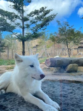 那須どうぶつ王国に投稿された画像（2021/11/13）