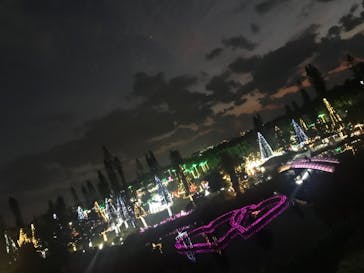 美らヤシパークオキナワ・東南植物楽園に投稿された画像（2021/11/13）