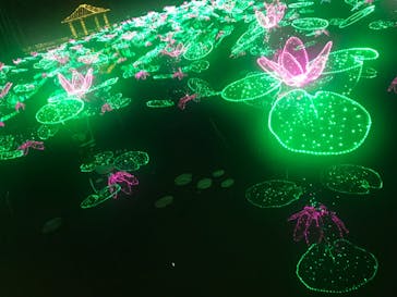 美らヤシパークオキナワ・東南植物楽園に投稿された画像（2021/11/13）