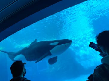 名古屋港水族館に投稿された画像（2021/11/13）