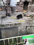 天王寺動物園に投稿された画像（2021/11/13）