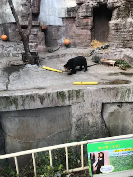 天王寺動物園に投稿された画像（2021/11/13）