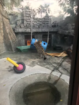 天王寺動物園に投稿された画像（2021/11/13）