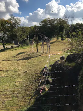 天王寺動物園に投稿された画像（2021/11/13）