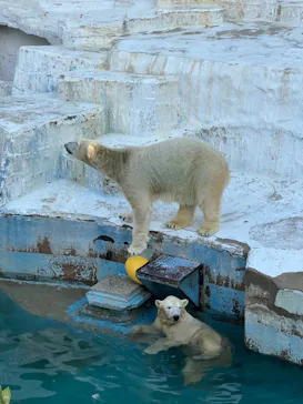 天王寺動物園に投稿された画像（2021/11/13）