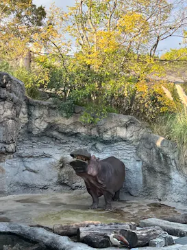 天王寺動物園に投稿された画像（2021/11/13）