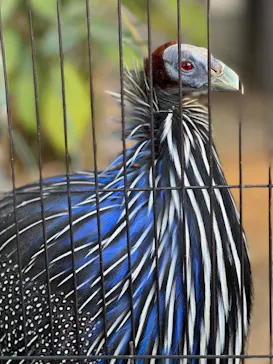 天王寺動物園に投稿された画像（2021/11/13）