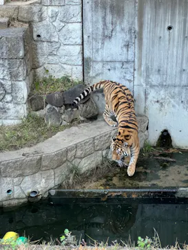 天王寺動物園に投稿された画像（2021/11/13）
