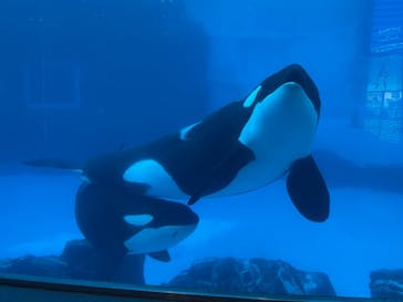 名古屋港水族館に投稿された画像（2021/11/13）