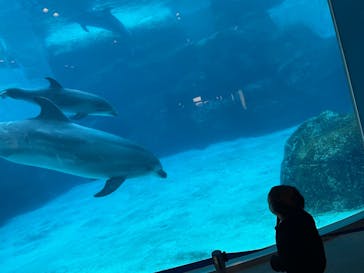 名古屋港水族館に投稿された画像（2021/11/13）