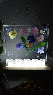 ずこうしつ〜sugamo〜に投稿された画像（2021/11/13）