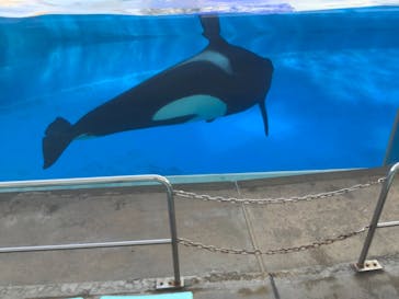 名古屋港水族館に投稿された画像（2021/11/13）