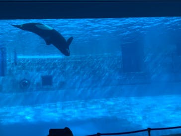 名古屋港水族館に投稿された画像（2021/11/13）