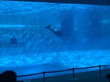 名古屋港水族館に投稿された画像（2021/11/13）