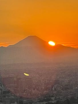 サンシャイン60展望台に投稿された画像（2021/11/13）