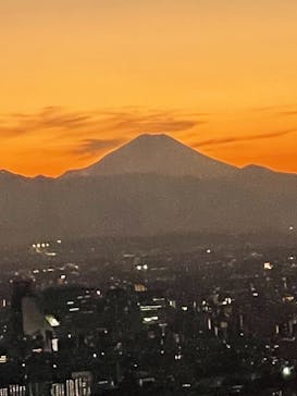 サンシャイン60展望台に投稿された画像（2021/11/13）