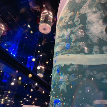 マクセル アクアパーク品川に投稿された画像（2021/11/13）