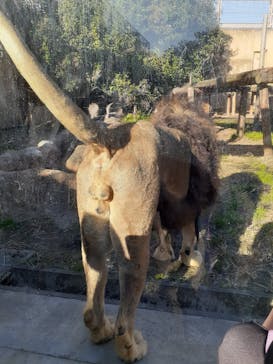 東武動物公園に投稿された画像（2021/11/13）