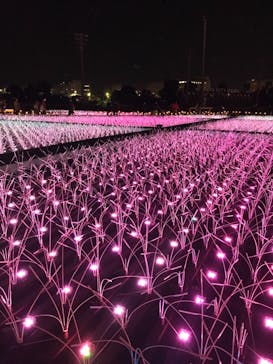 東京メガイルミに投稿された画像（2021/11/13）