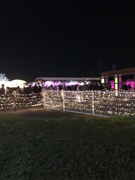 東京メガイルミに投稿された画像（2021/11/13）