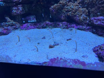 サンシャイン水族館に投稿された画像（2021/11/13）