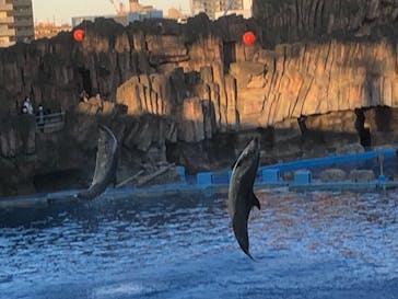 名古屋港水族館に投稿された画像（2021/11/13）