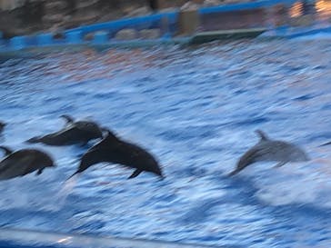 名古屋港水族館に投稿された画像（2021/11/13）