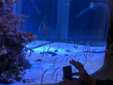 名古屋港水族館に投稿された画像（2021/11/13）