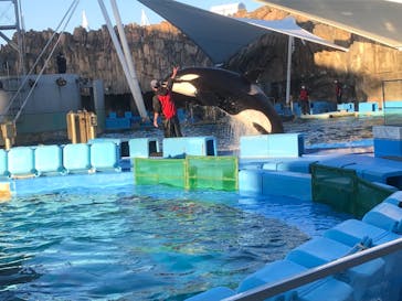 名古屋港水族館に投稿された画像（2021/11/13）