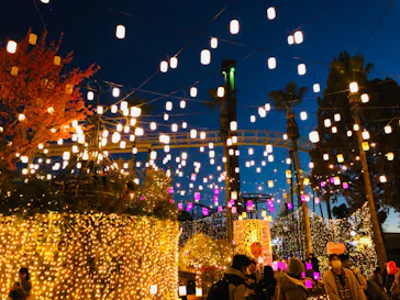 ひらかたパークに投稿された画像（2021/11/13）