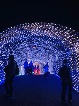 ひらかたパークに投稿された画像（2021/11/13）