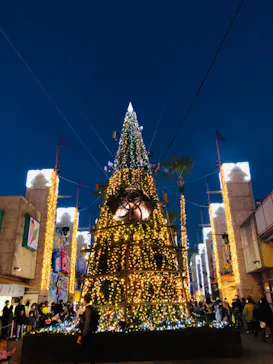 ひらかたパークに投稿された画像（2021/11/13）