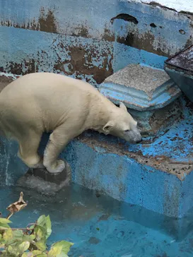 天王寺動物園に投稿された画像（2021/11/13）