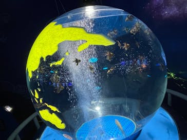 しながわ水族館に投稿された画像（2021/11/13）