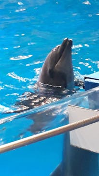 マクセル アクアパーク品川に投稿された画像（2021/11/13）