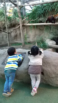 神戸どうぶつ王国に投稿された画像（2021/11/13）