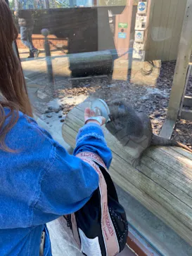 横浜・八景島シーパラダイスに投稿された画像（2021/11/13）