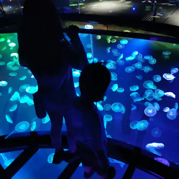 すみだ水族館に投稿された画像（2021/11/13）