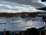 京都水族館に投稿された画像（2021/11/13）