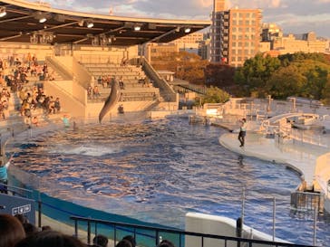 京都水族館に投稿された画像（2021/11/13）