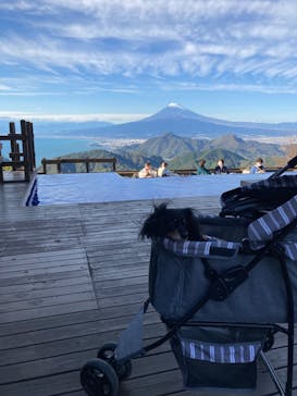 伊豆パノラマパークに投稿された画像（2021/11/13）