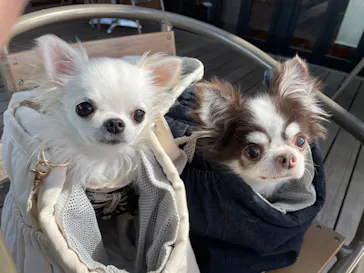 わんダフルネイチャーヴィレッジに投稿された画像（2021/11/13）