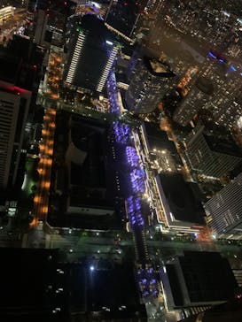 横浜ランドマークタワー 69階展望フロア スカイガーデンに投稿された画像（2021/11/13）