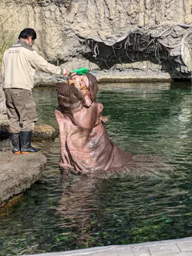 天王寺動物園に投稿された画像（2021/11/13）