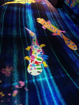 森ビル デジタルアート ミュージアム：エプソン チームラボボーダレスに投稿された画像（2021/11/13）