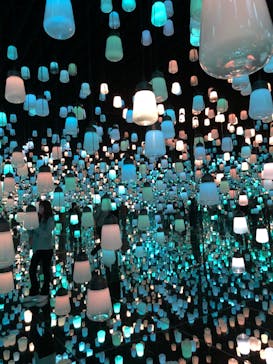 森ビル デジタルアート ミュージアム：エプソン チームラボボーダレスに投稿された画像（2021/11/13）