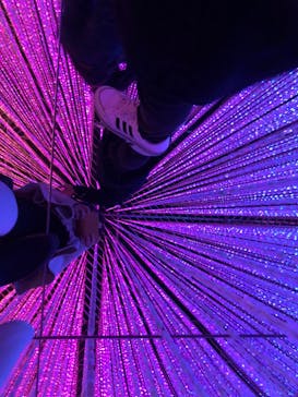 森ビル デジタルアート ミュージアム：エプソン チームラボボーダレスに投稿された画像（2021/11/13）