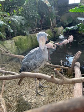 那須どうぶつ王国に投稿された画像（2021/11/13）