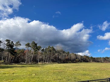 サンメドウズ清里に投稿された画像（2021/11/13）